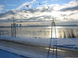 Apartamento de vacaciones Burg auf Fehmarn Entorno 12