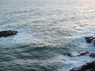 View from terrace