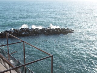 View from upper terrace 1
