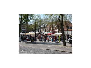 Appartamento per vacanze Burg auf Fehmarn Ambiente 11