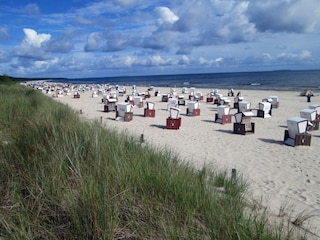 Strand Trassenheide