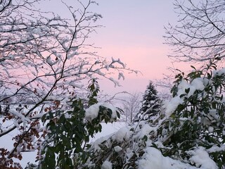 Chalet Ofterschwang Grabación al aire libre 6