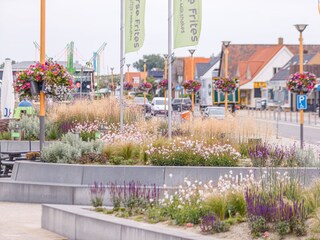 Vakantiehuis Callantsoog Omgeving 27