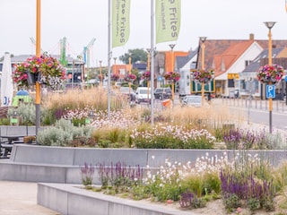 Vakantiehuis Callantsoog Omgeving 29