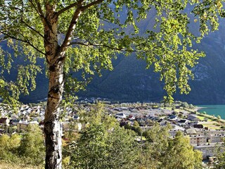 Casa de vacaciones Øvre Årdal  20