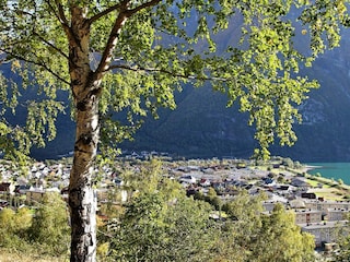 Maison de vacances Øvre Årdal  8