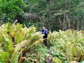 Holiday house Øvre Årdal  33