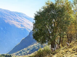 Casa de vacaciones Øvre Årdal  10