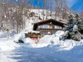 Chalet Niedernsill Outdoor Recording 1