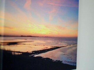 Vakantiehuis Kattendijke Omgeving 37