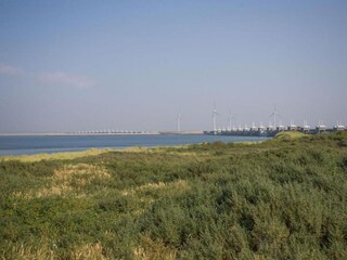 Vakantiehuis Kattendijke Omgeving 26