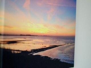 Ferienhaus Kattendijke Umgebung 36