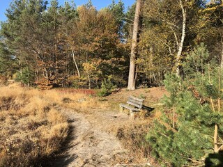 Villa Rheezerveen Umgebung 32