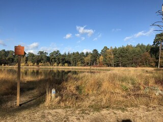 Villa Rheezerveen Omgeving 33