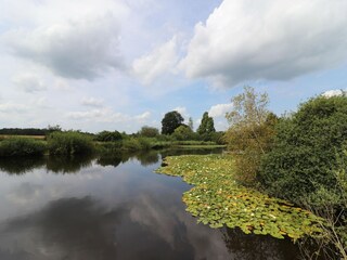 Villa Rheezerveen Outdoor Recording 3