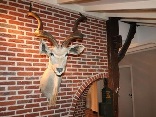 Villa Rheezerveen  35