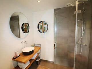 Villa Rheezerveen Características 20