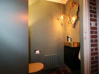 Villa Rheezerveen Características 21