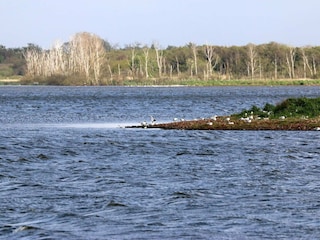 Ferienhaus Henne Strand  21