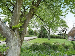 Holiday house Havneby  12