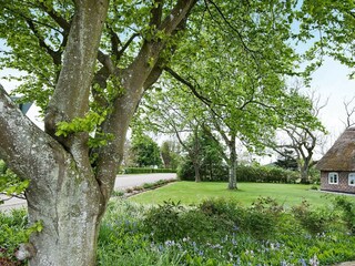 Holiday house Havneby  18