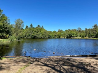 Vakantiehuis Aalbæk  25