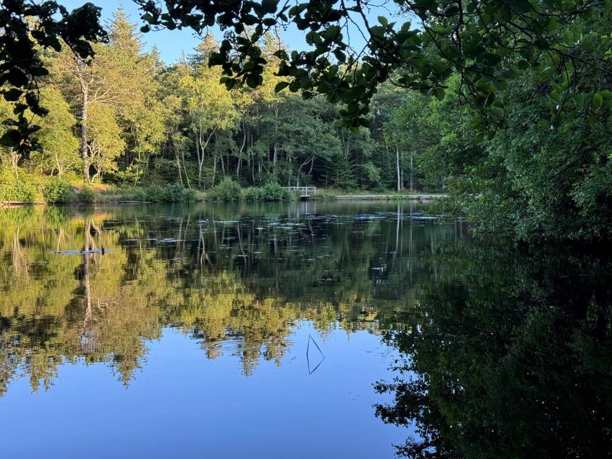 Vakantiehuis Aalbæk  30