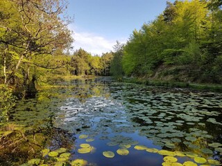 Casa per le vacanze Aalbæk  31