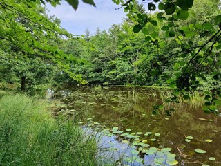 Casa de vacaciones Aalbæk  28