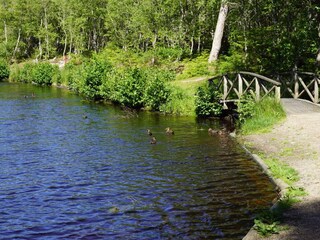 Casa per le vacanze Aalbæk  31