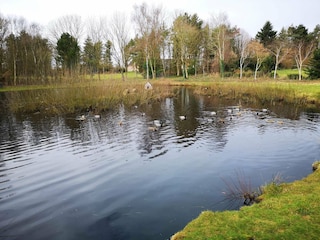 Holiday house Jegum  12