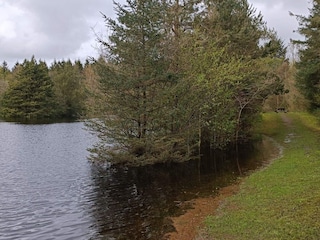 Ferienhaus Jegum  37