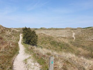 Vakantiehuis Tversted  39