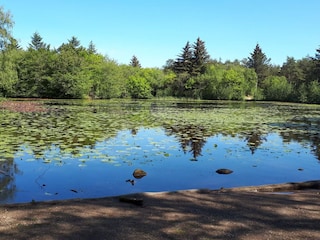 Ferienhaus Tversted  47