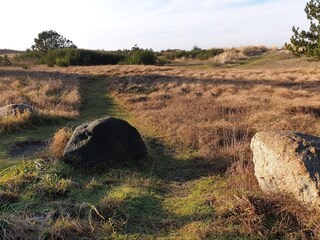 Vakantiehuis Bjerge Strand  5