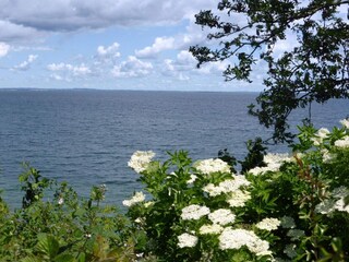 Vakantiehuis Sydals  39