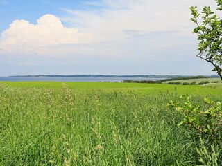 Ferienhaus Ejsingholm  13