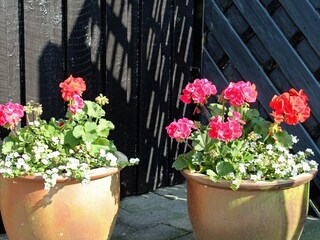 Ferienhaus Sønderballe  21