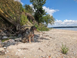 Casa per le vacanze Sønderballe  33