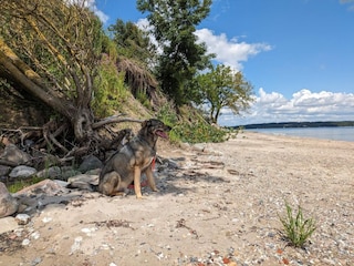 Ferienhaus Sønderballe  39