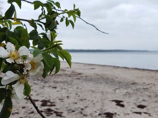 Vakantiehuis Sønderballe  21