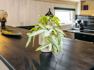 Casa de vacaciones Vorupør  10