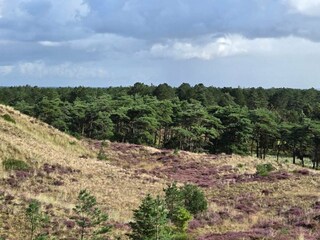 Casa per le vacanze Blåvand  15