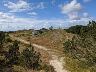 Maison de vacances Blåvand  21