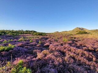 Casa de vacaciones Blåvand  23