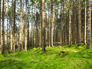 Casa per le vacanze Boras  10