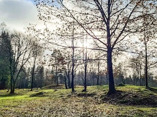 Ferienhaus Boras  29