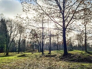 Maison de vacances Boras  11