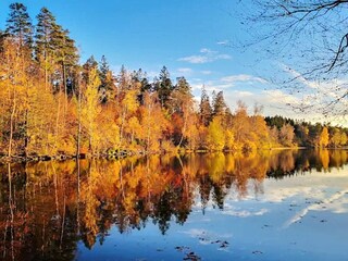 Casa per le vacanze Boras  15