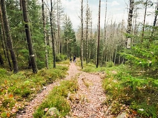 Ferienhaus Boras  38